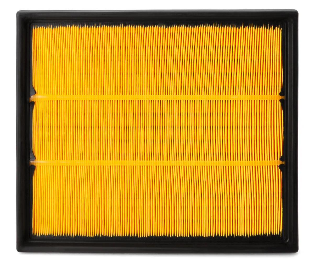 AF25319 Fleetguard