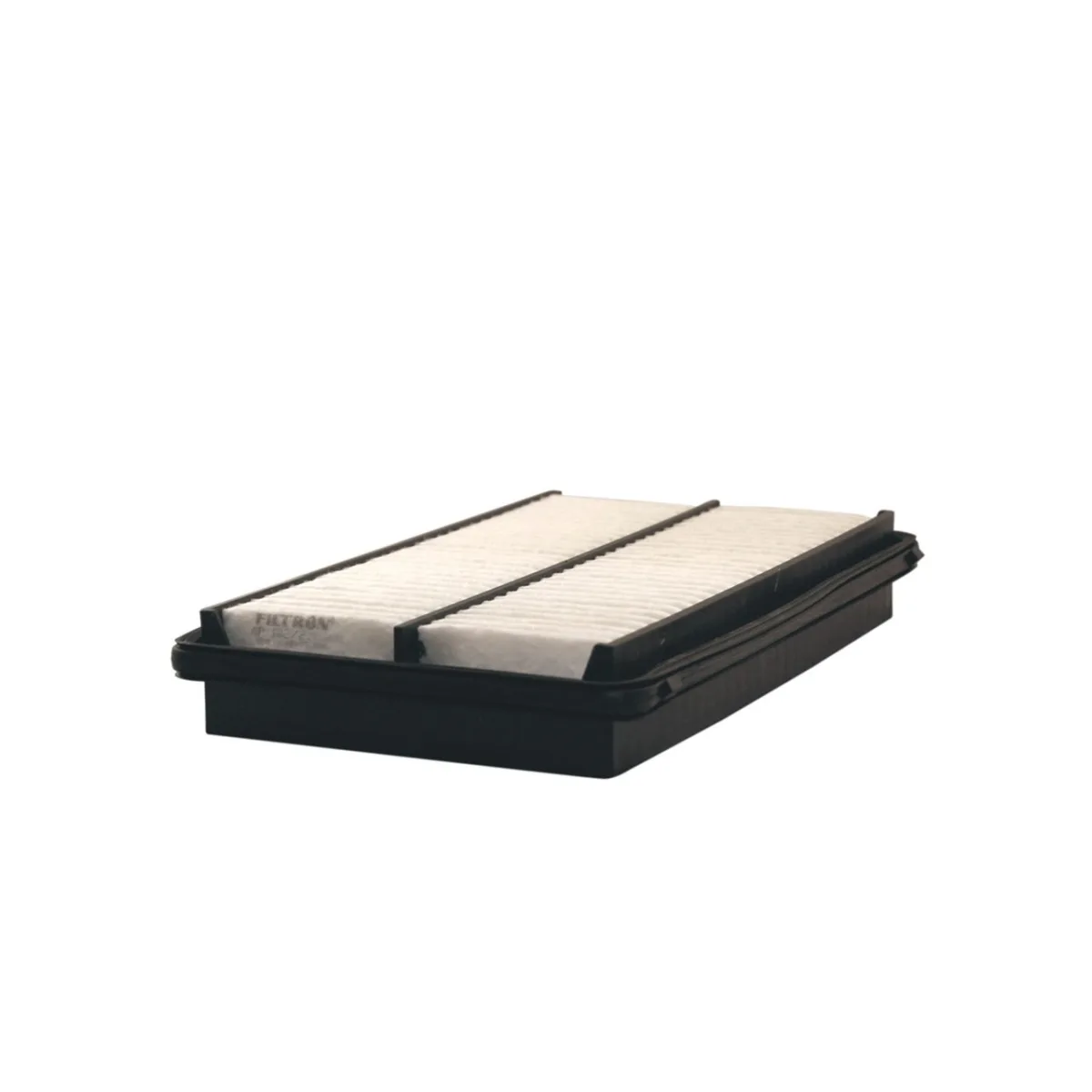 AP102/2 Filtron