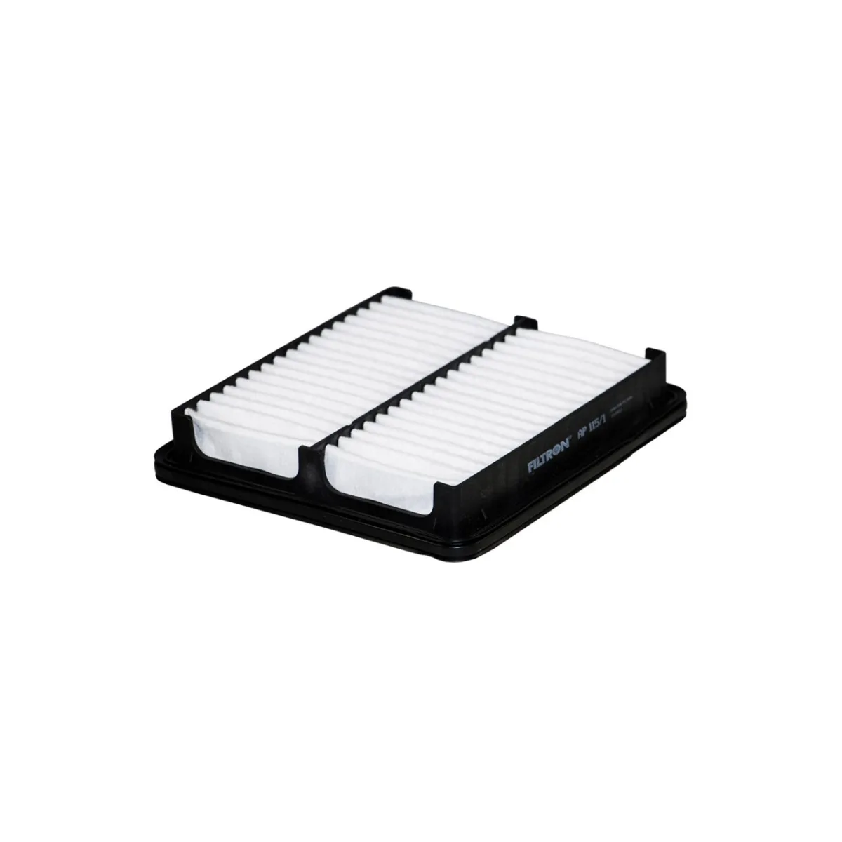 AP115/1 Filtron