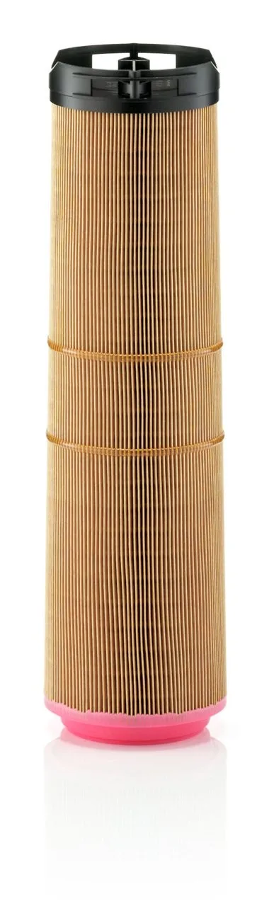 C12178/1 Mann Filter