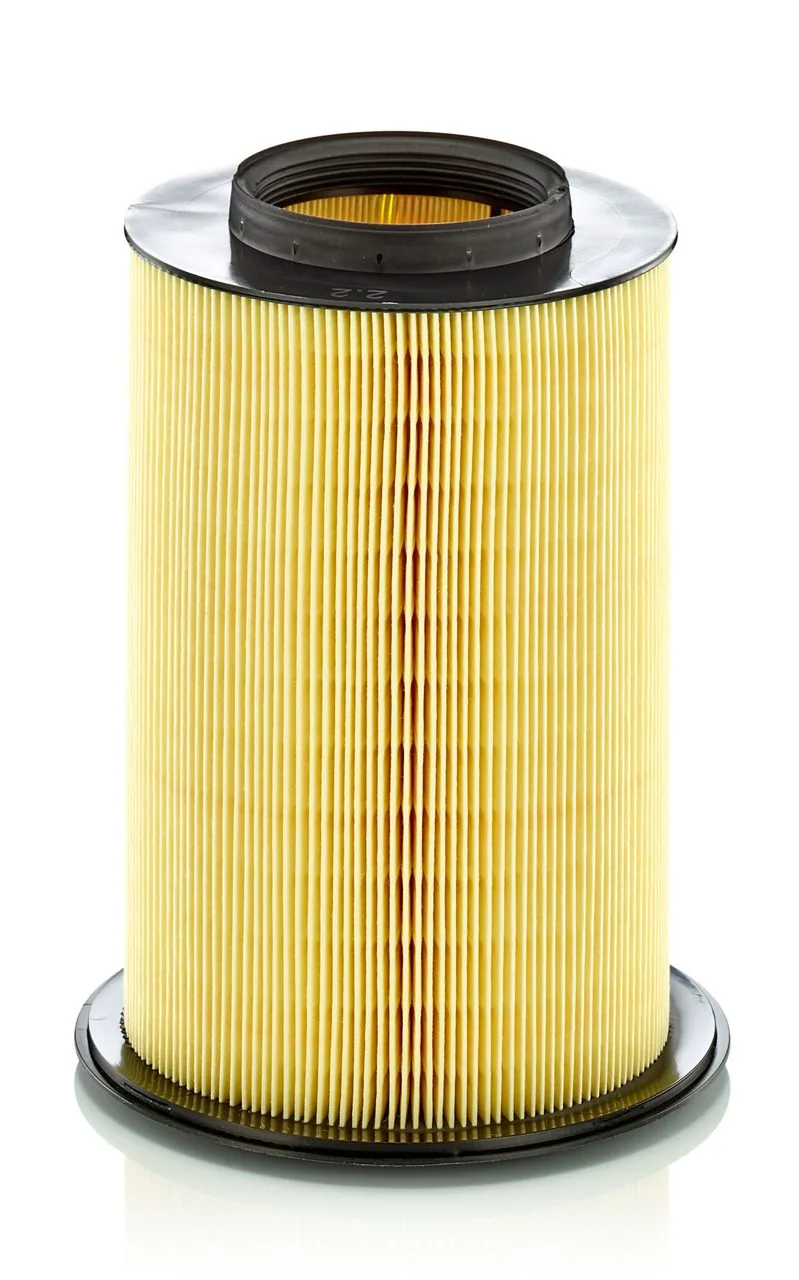 C16134/2 Mann Filter