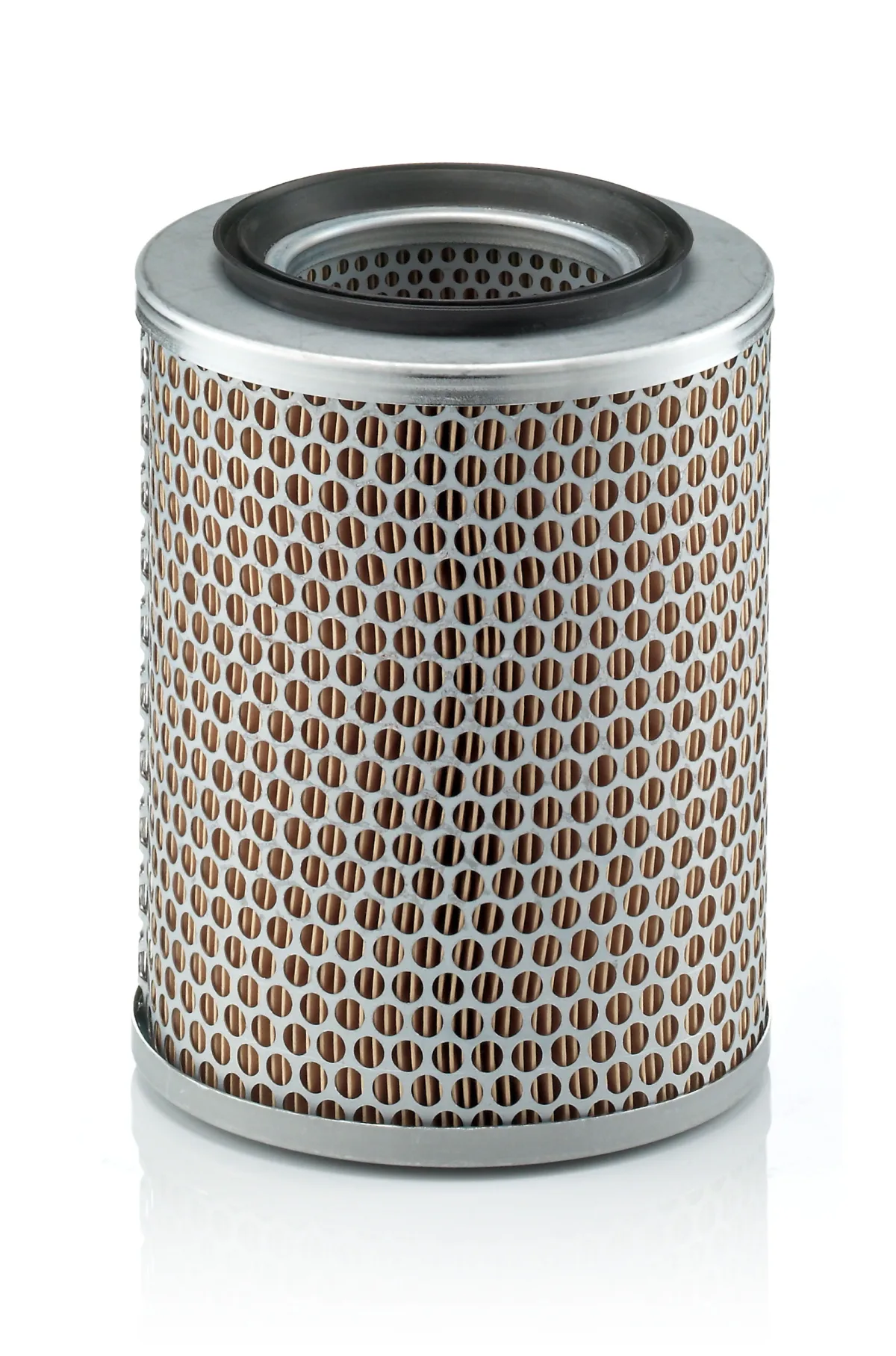 C17134 Mann Filter