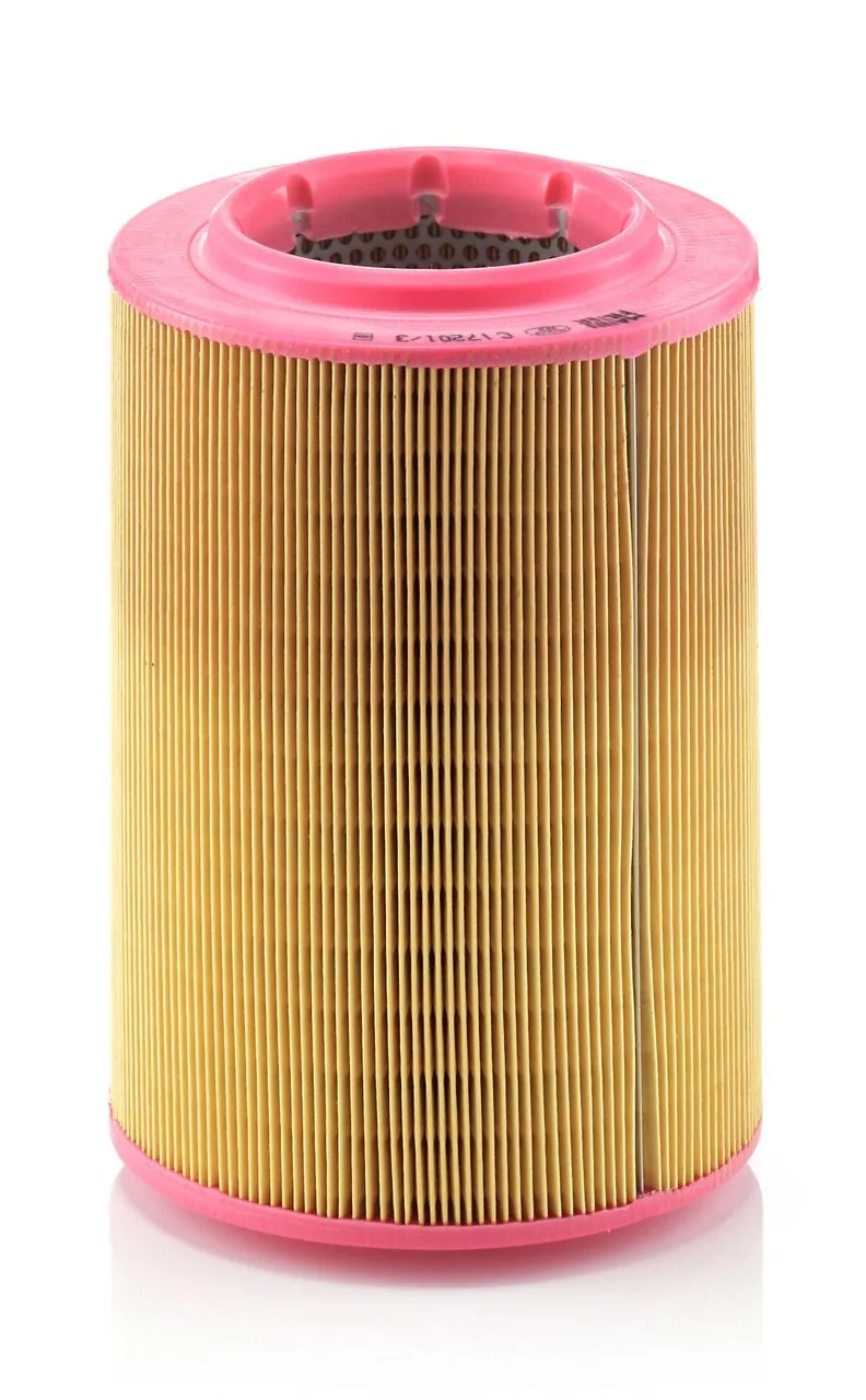 C17201/3 Mann Filter