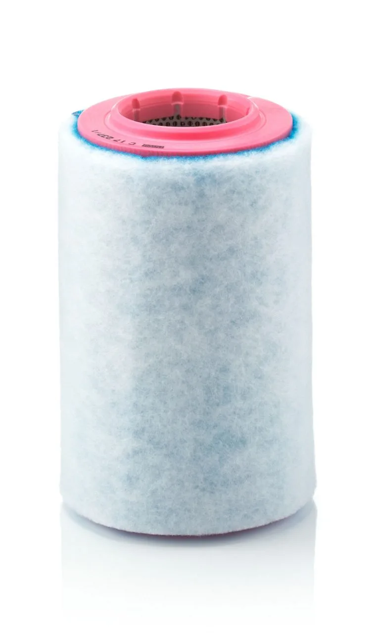 C17237/1 Mann Filter