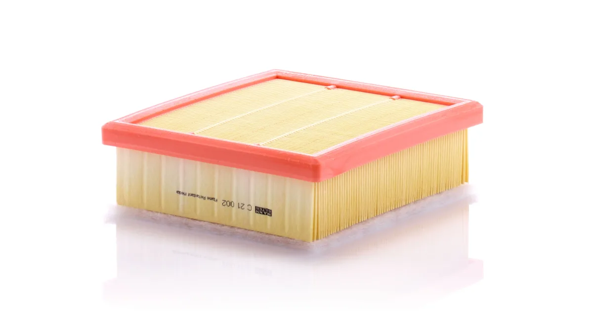 C21002 Mann Filter