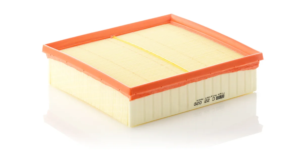 C22020 Mann Filter
