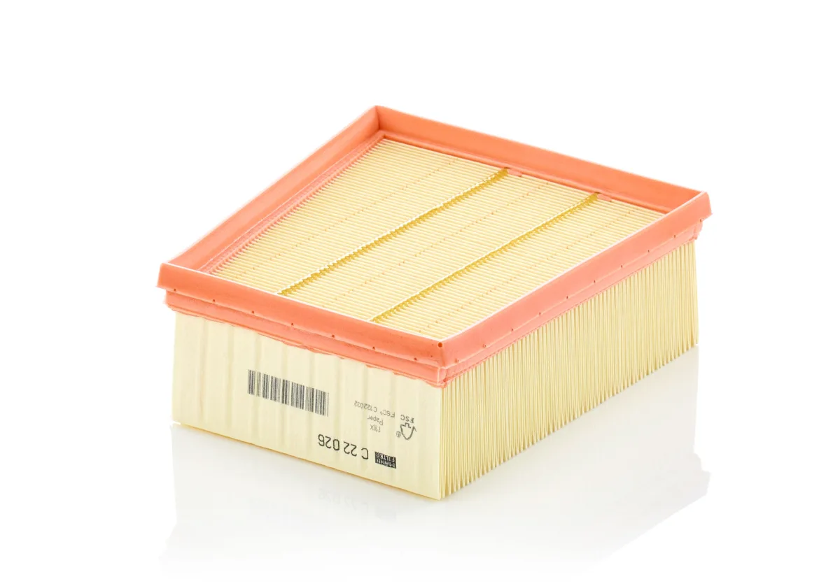 C22026 Mann Filter