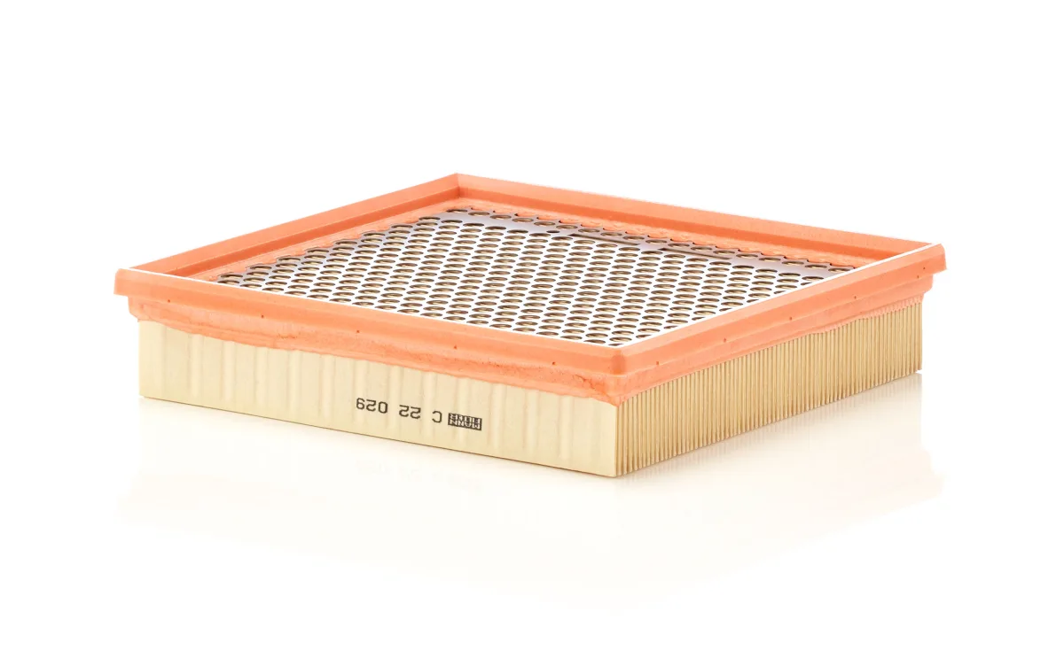 C22029 Mann Filter