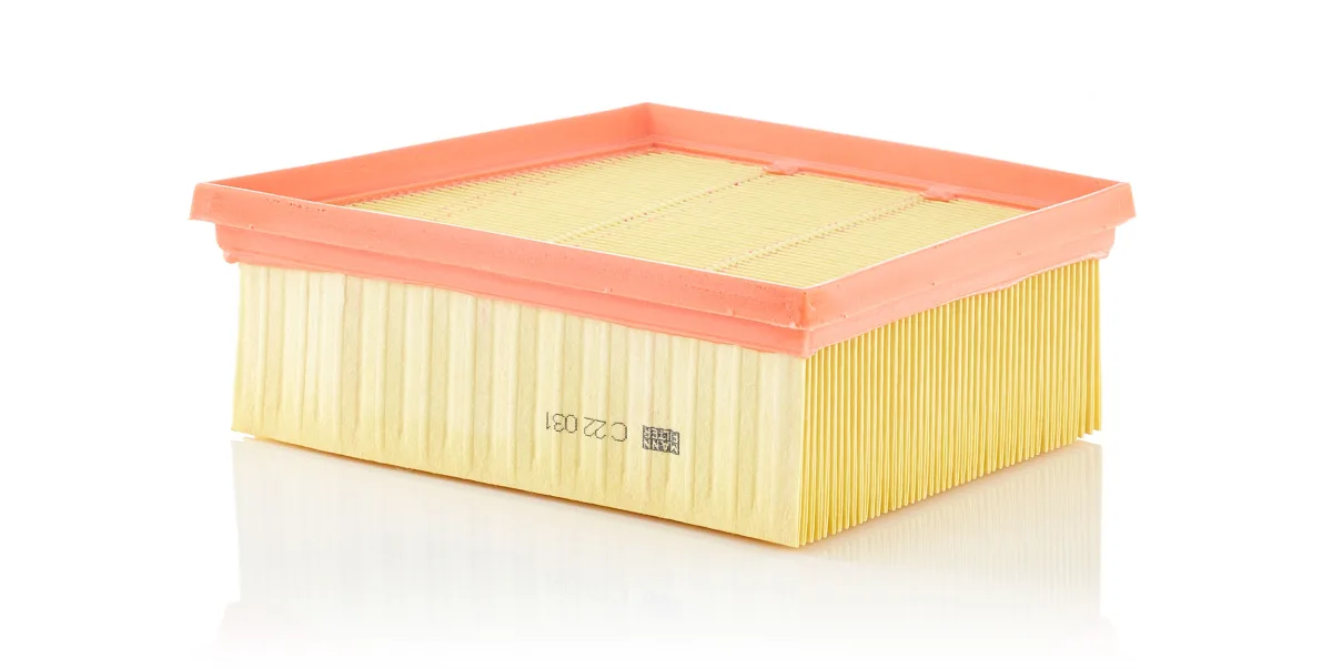 C22031 Mann Filter