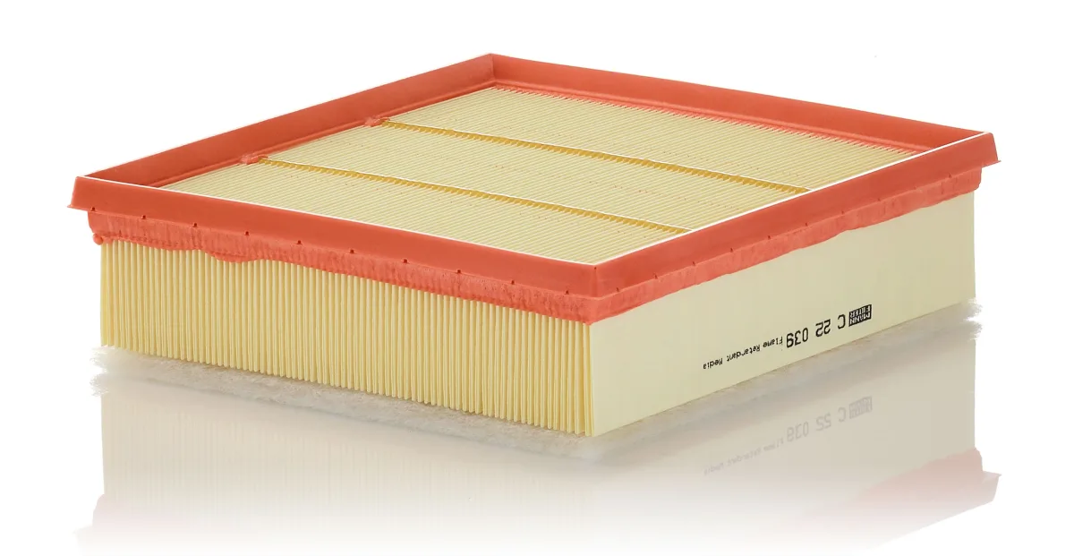 C22039 Mann Filter