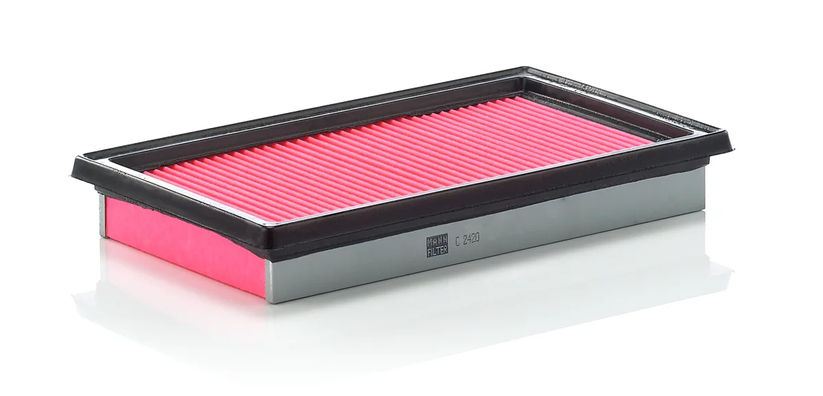 C2420 Mann Filter