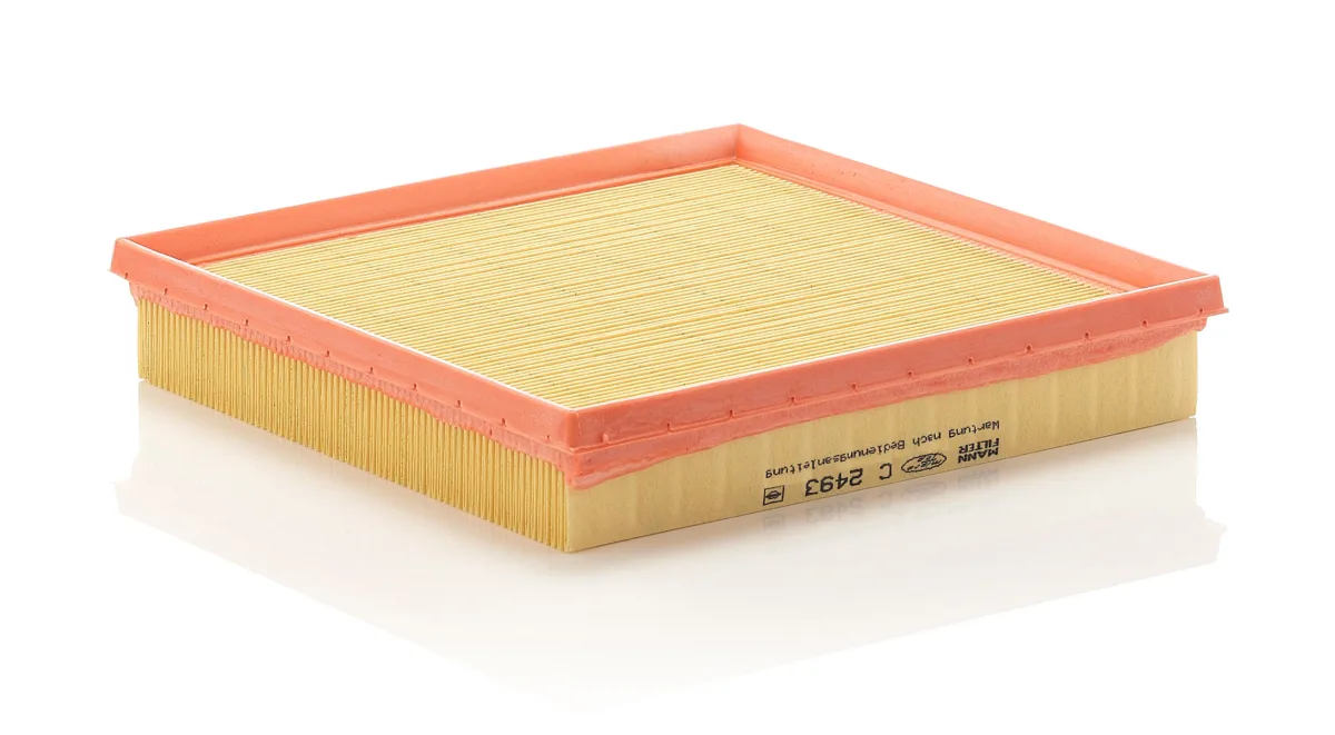 C2493 Mann Filter