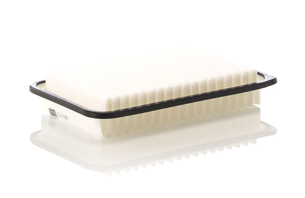 C25006 Mann Filter