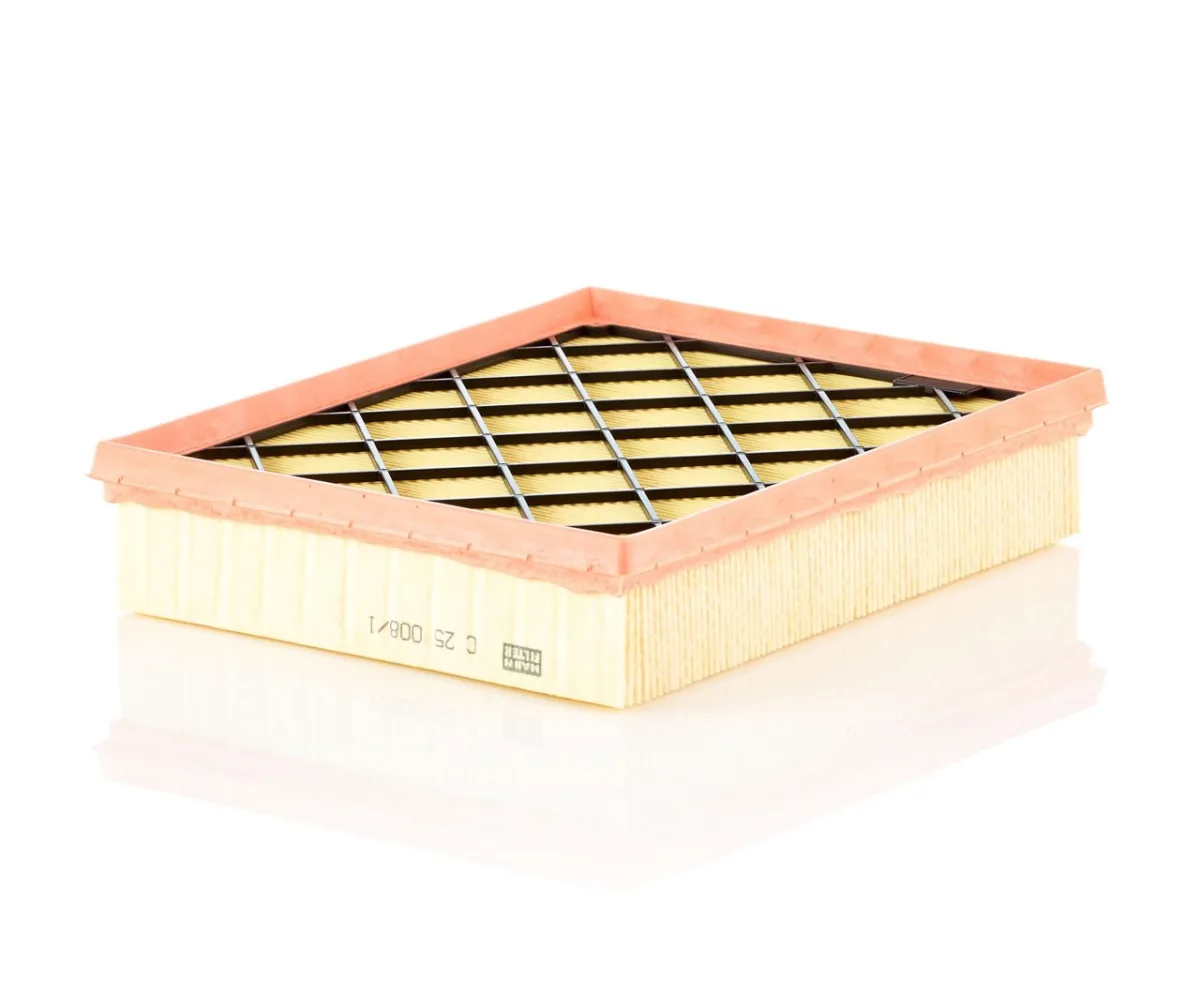 C25008/1 Mann Filter