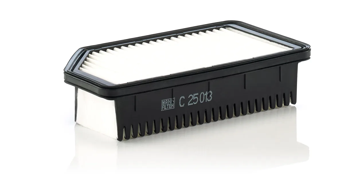 C25013 Mann Filter