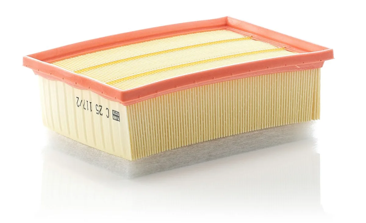 C25117/2 Mann Filter