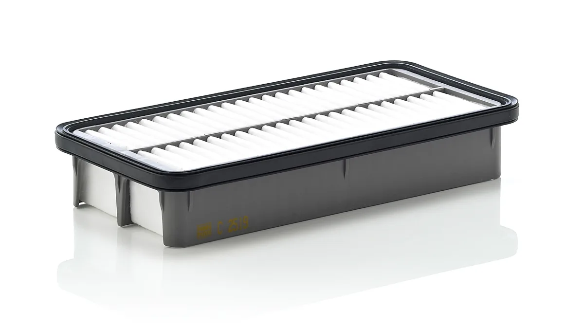 C2519 Mann Filter