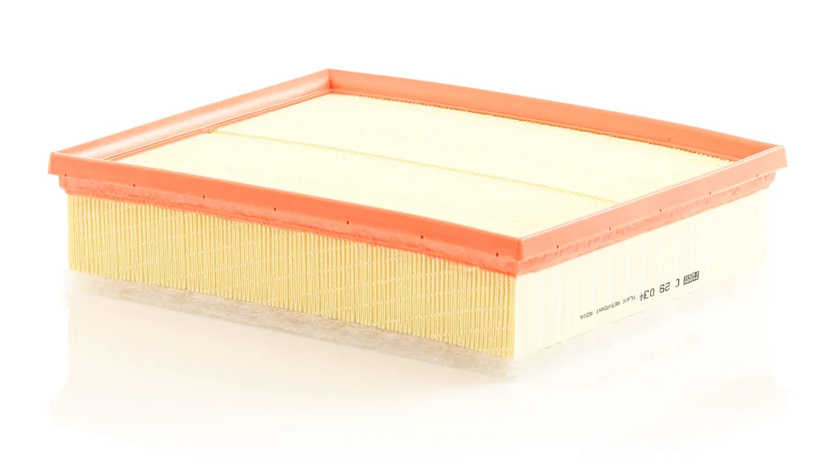 C29034 Mann Filter