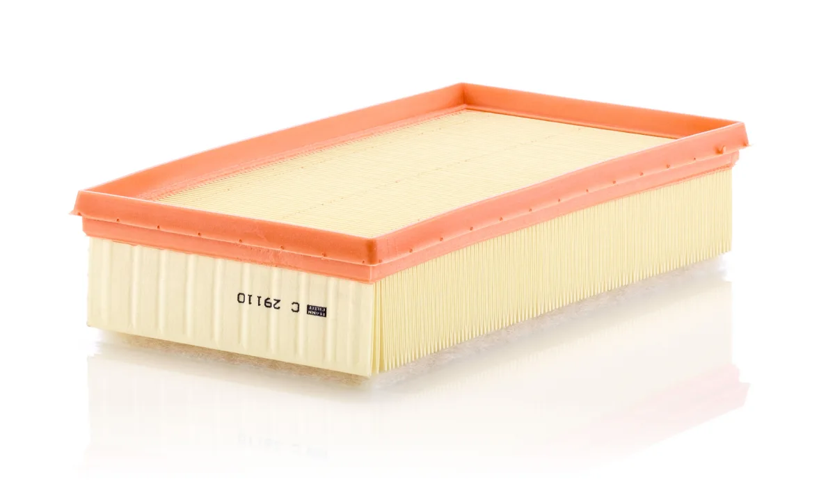 C29110 Mann Filter