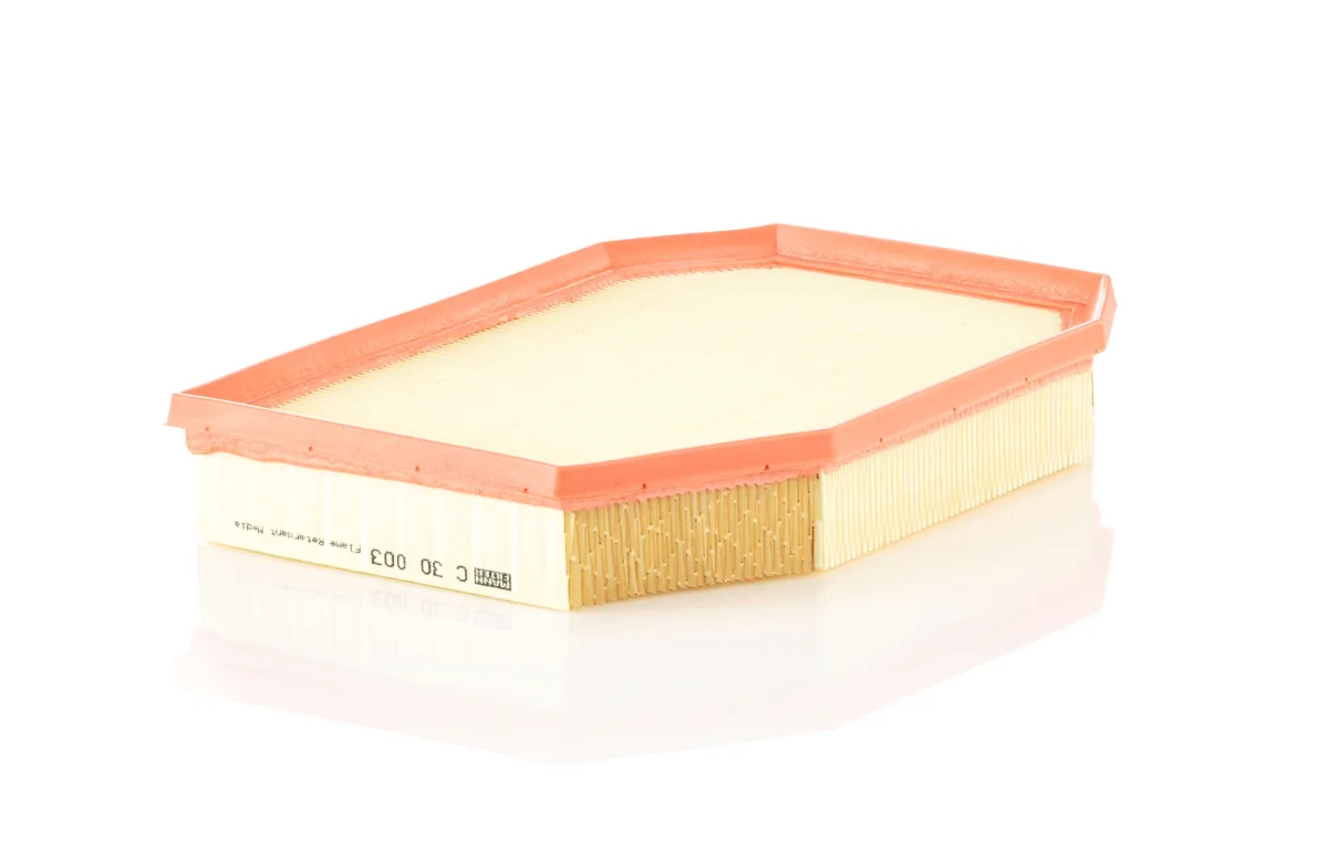 C30003 Mann Filter