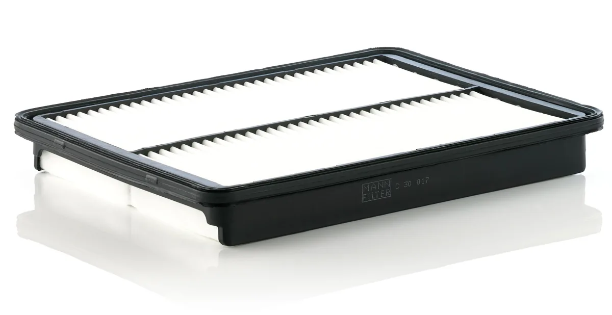 C30017 Mann Filter