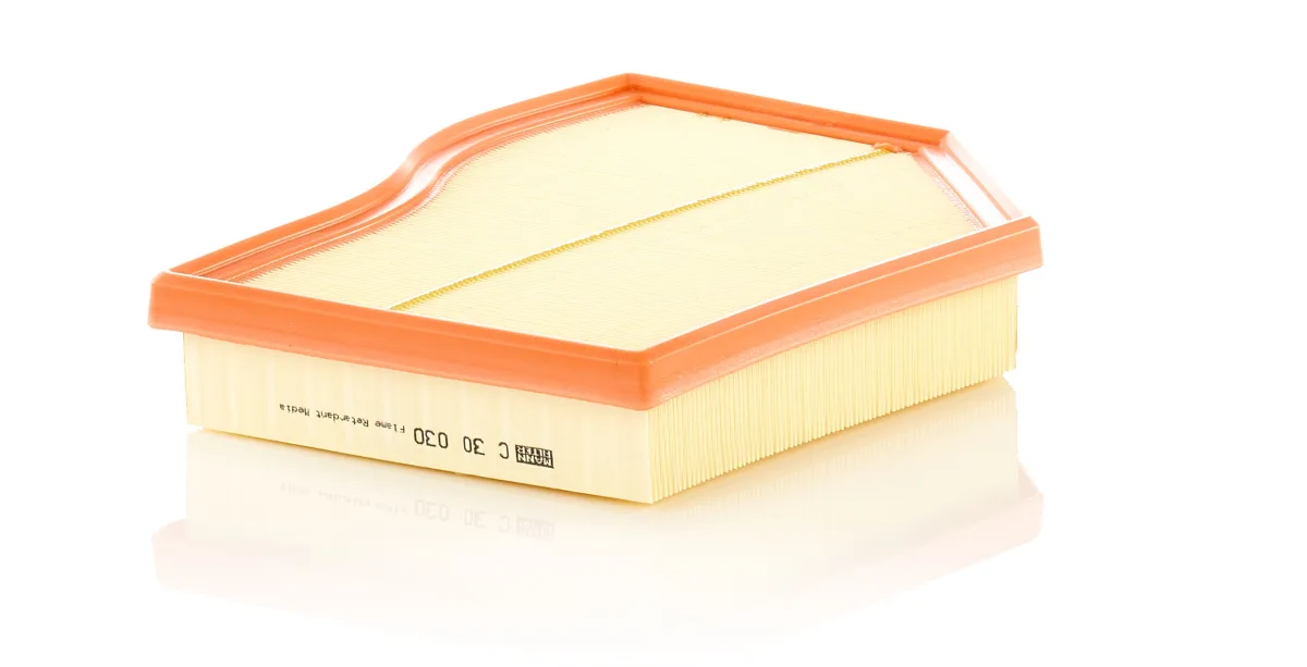 C30030 Mann Filter