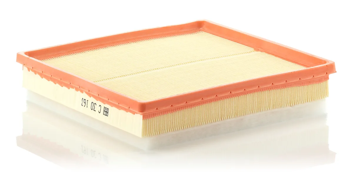 C30163 Mann Filter