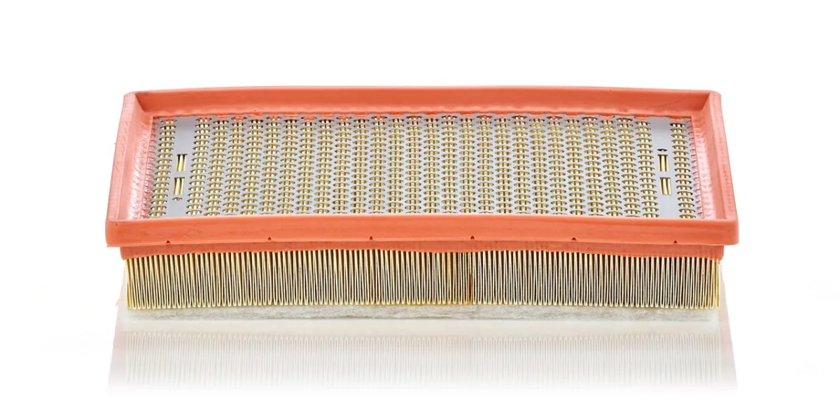 C30170/1 Mann Filter
