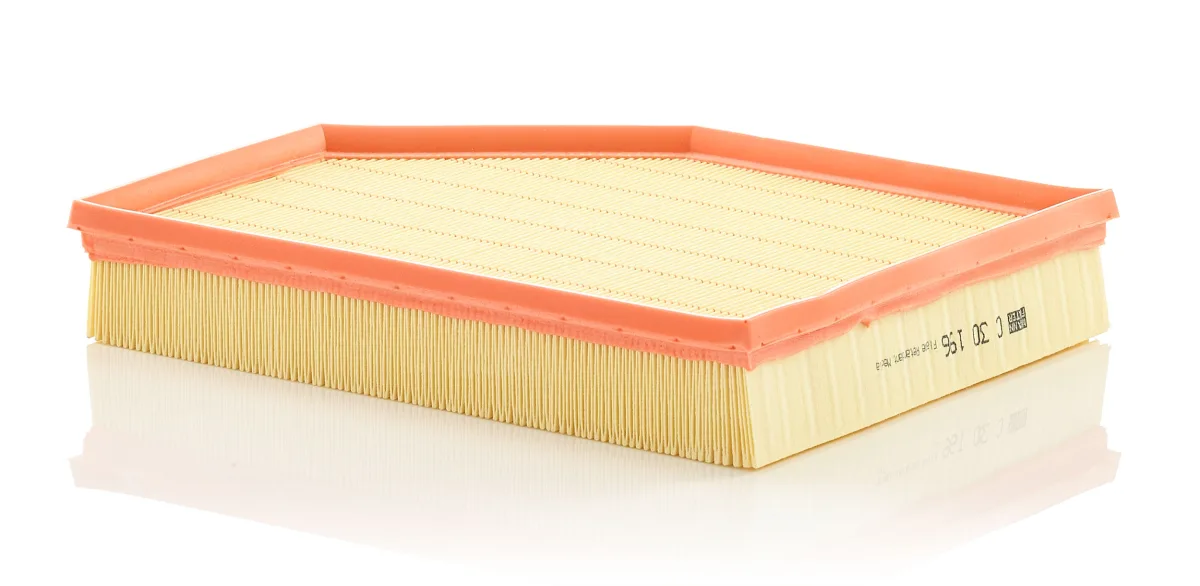 C30196 Mann Filter