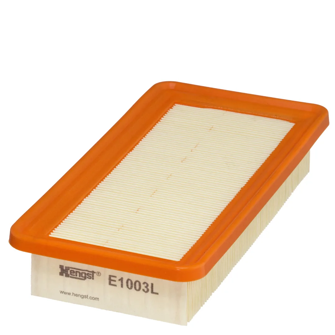 E1003L Hengst