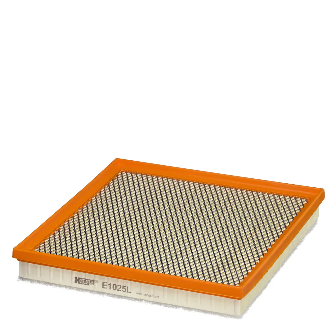 E1025L Hengst
