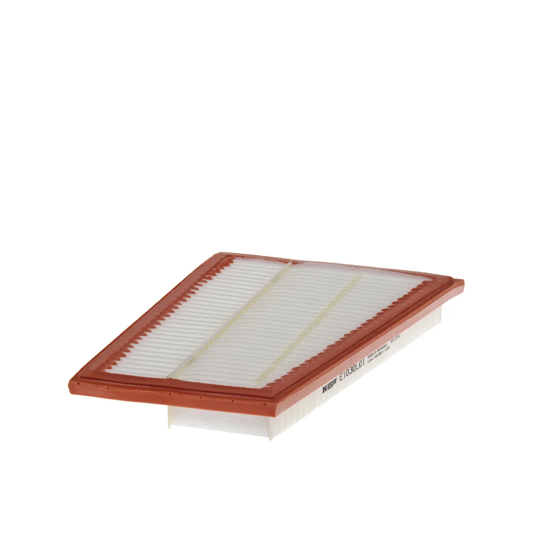 E1030L01 Hengst