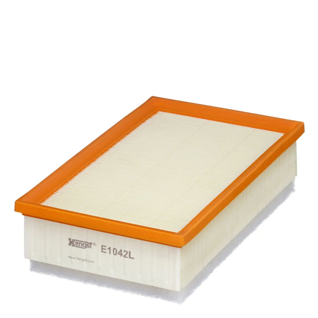 E1042L Hengst