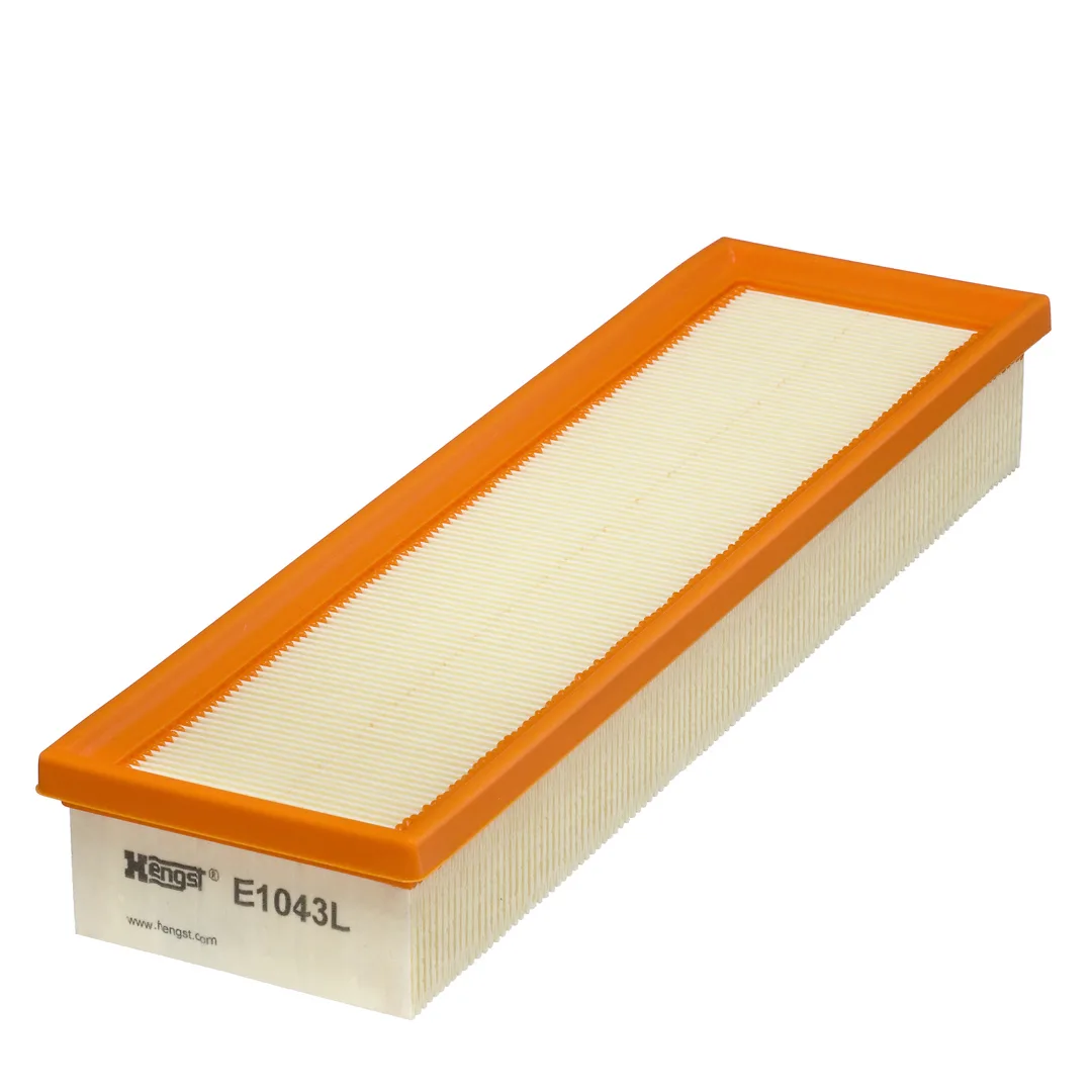E1043L Hengst