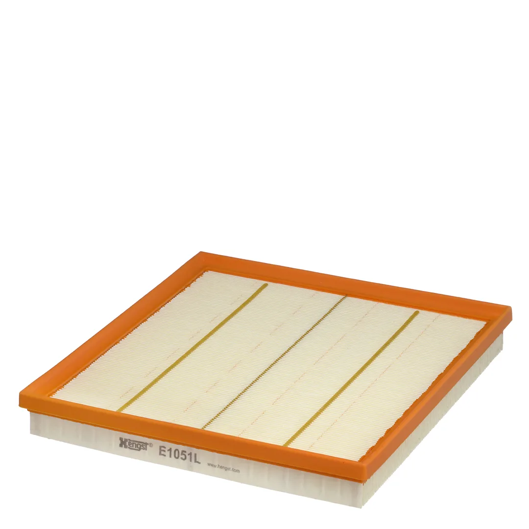 E1051L Hengst