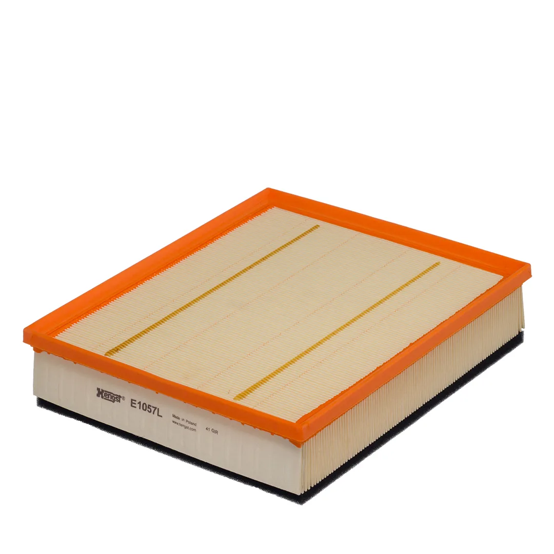 E1057L Hengst