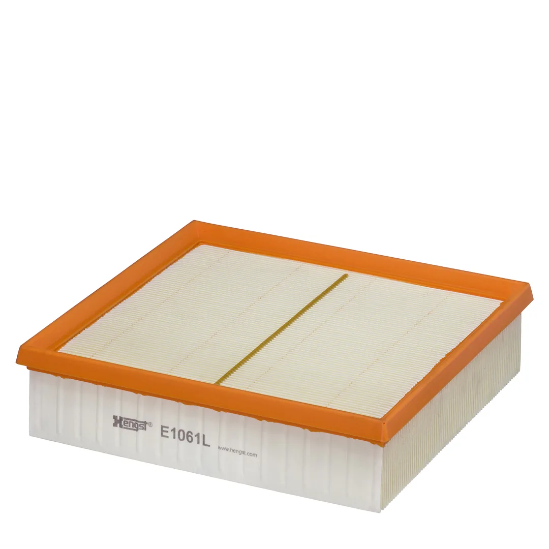 E1061L Hengst