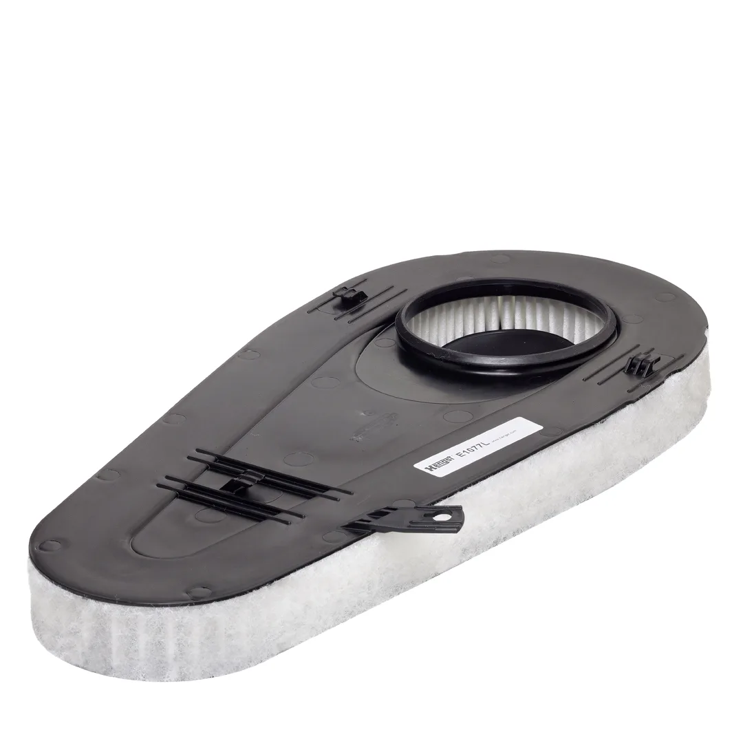 E1077L Hengst