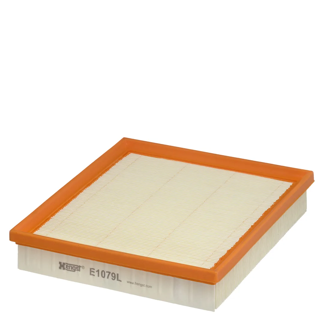 E1079L Hengst