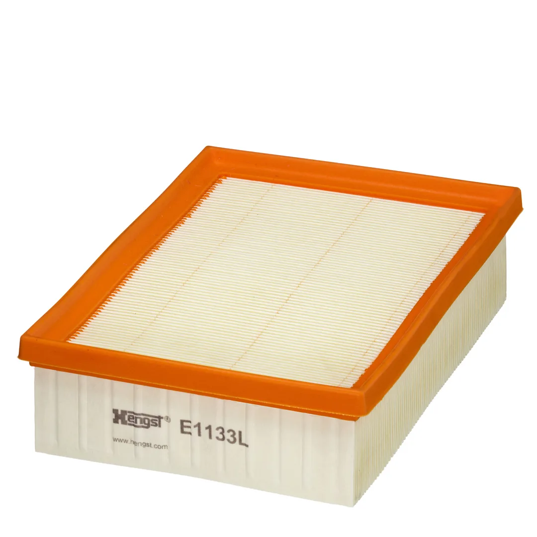 E1133L Hengst