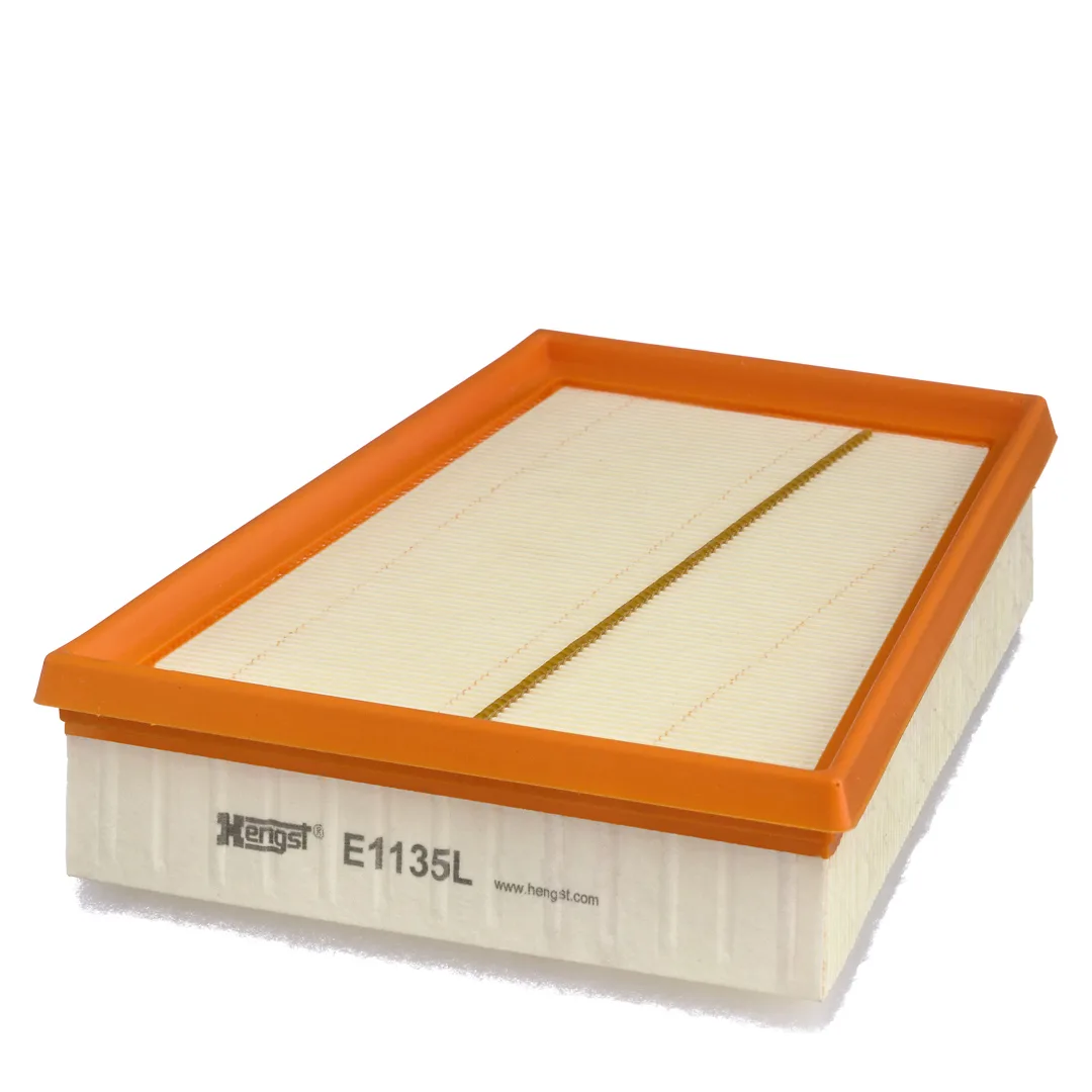E1135L Hengst