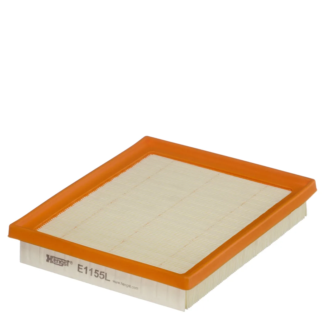 E1155L Hengst