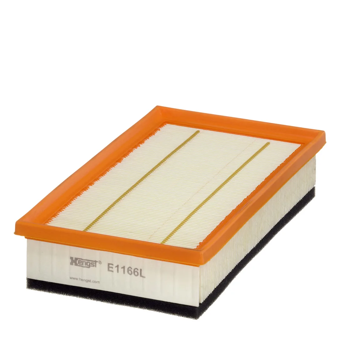E1166L Hengst