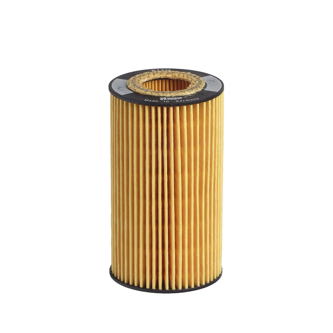 E11HD26 Hengst