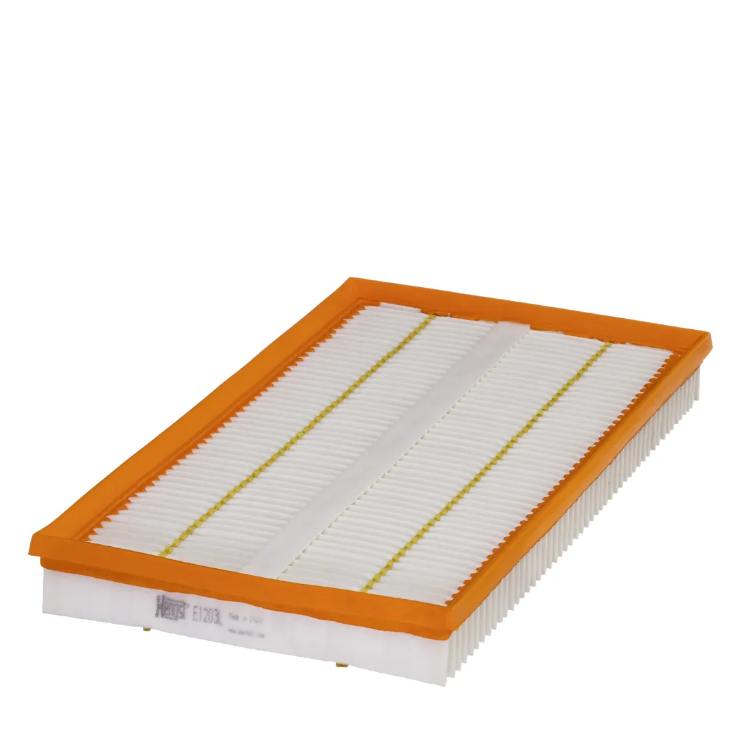 E1203L Hengst