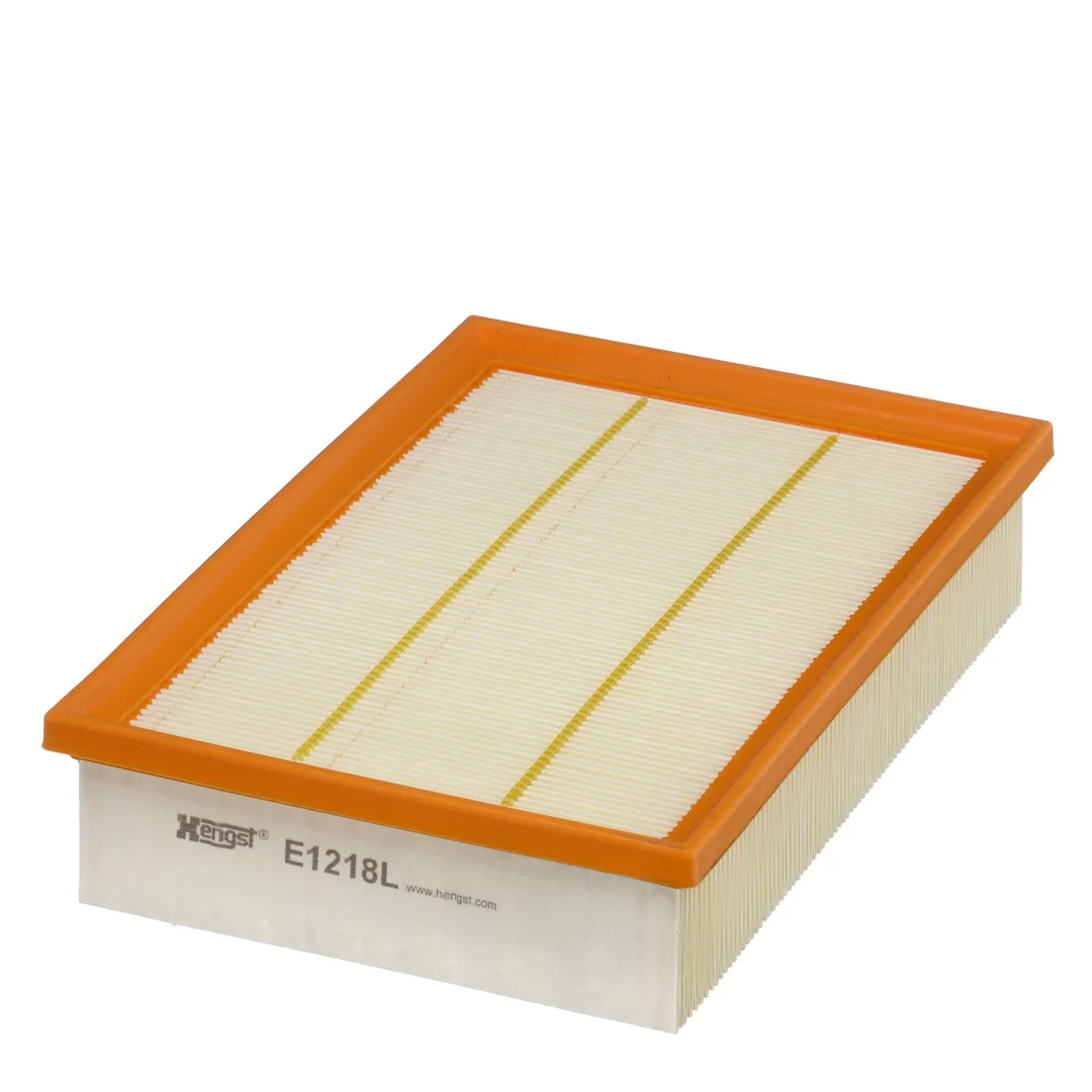 E1218L Hengst