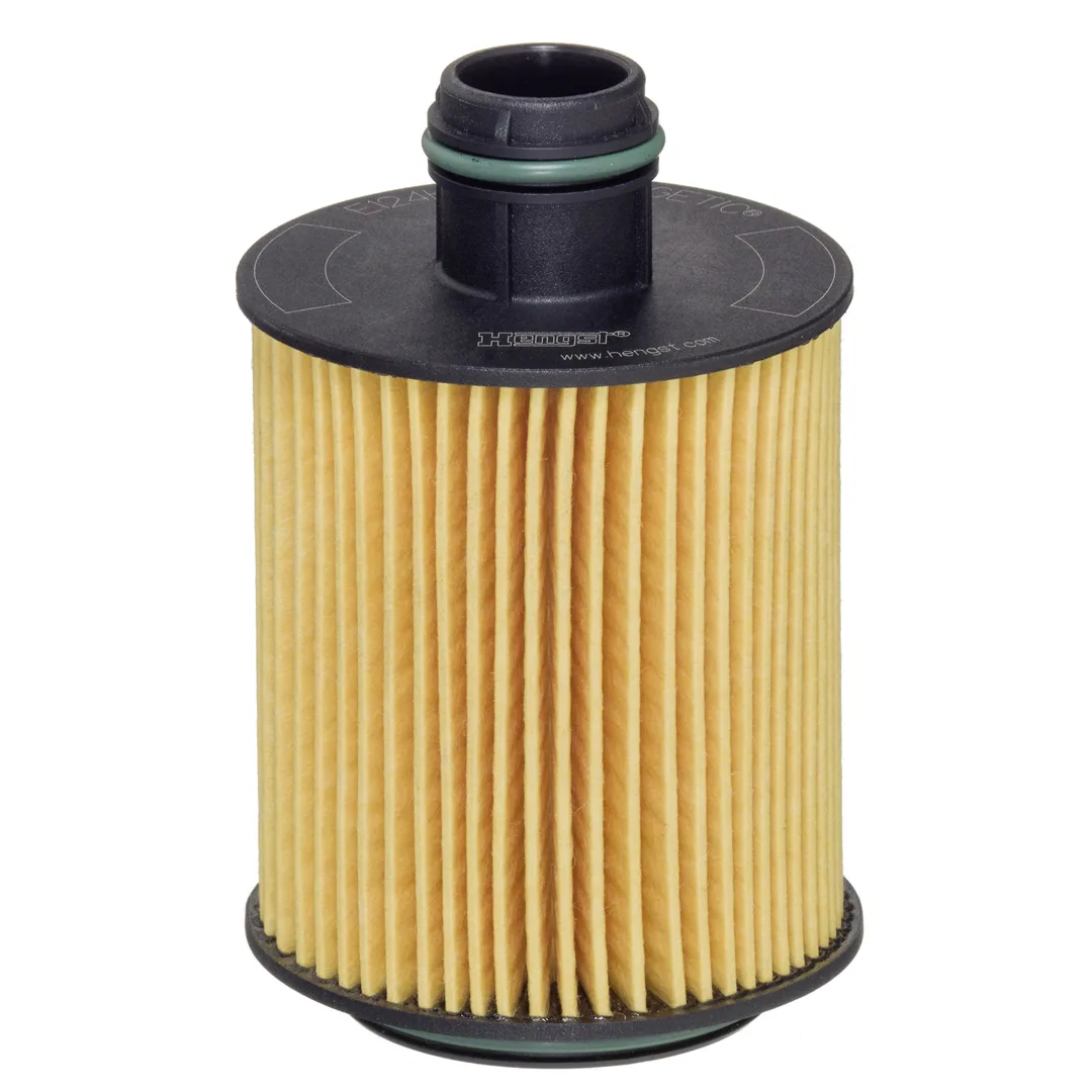 E124H02D202 Hengst