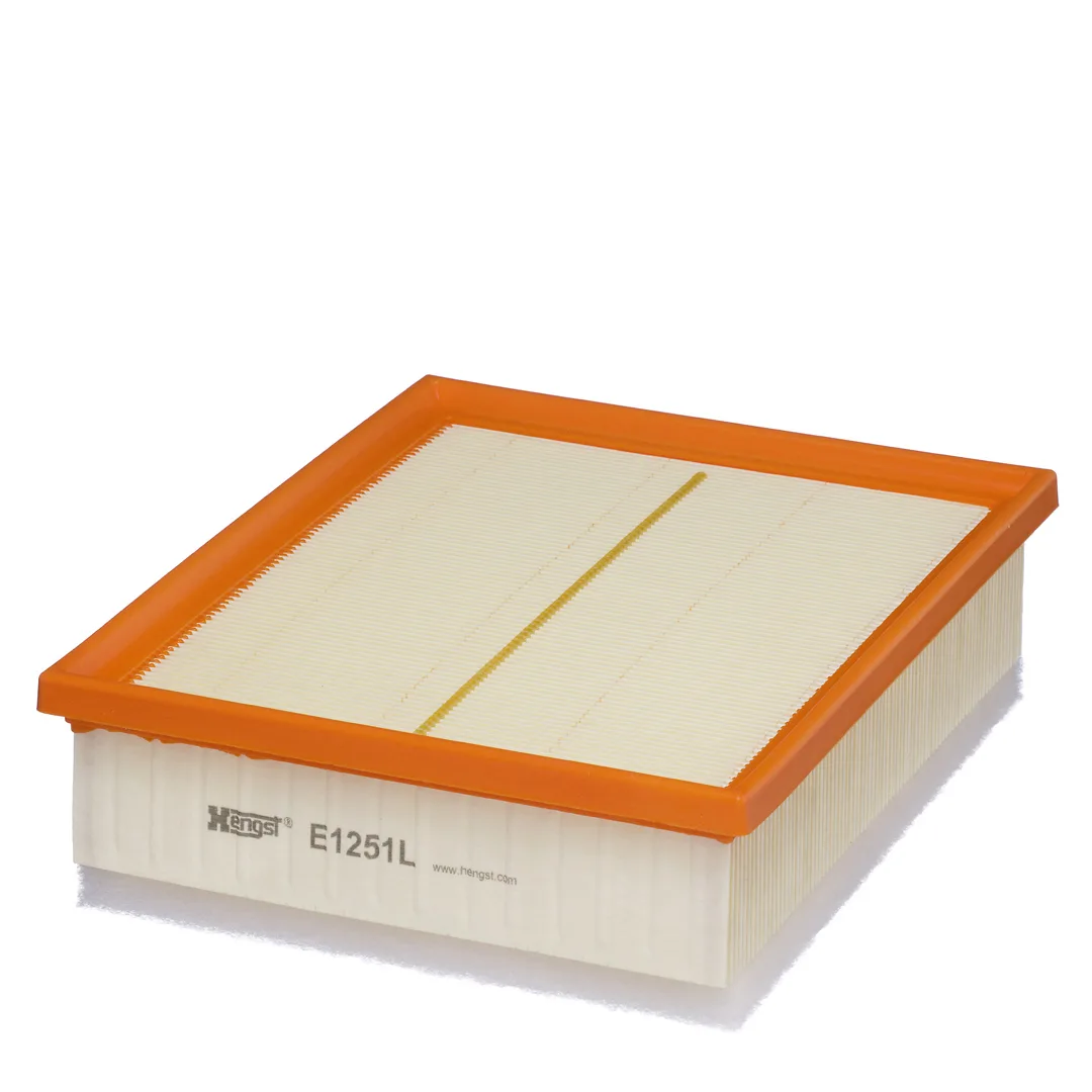 E1251L Hengst