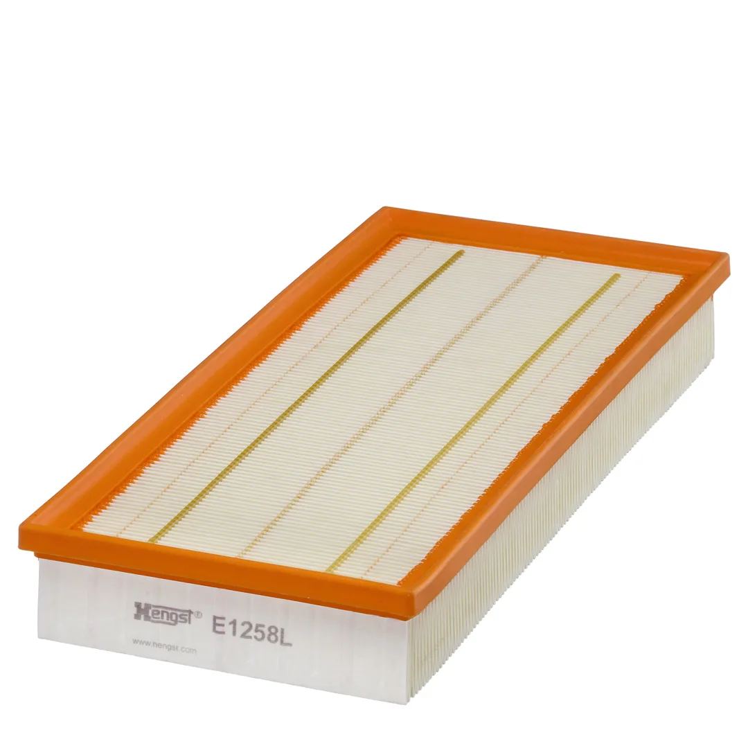 E1258L Hengst