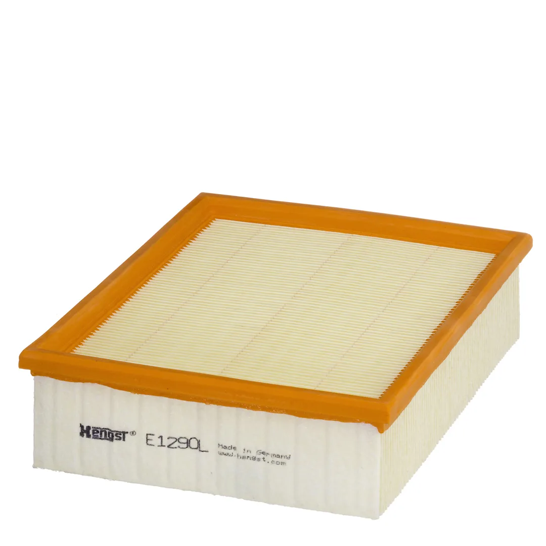 E1290L Hengst
